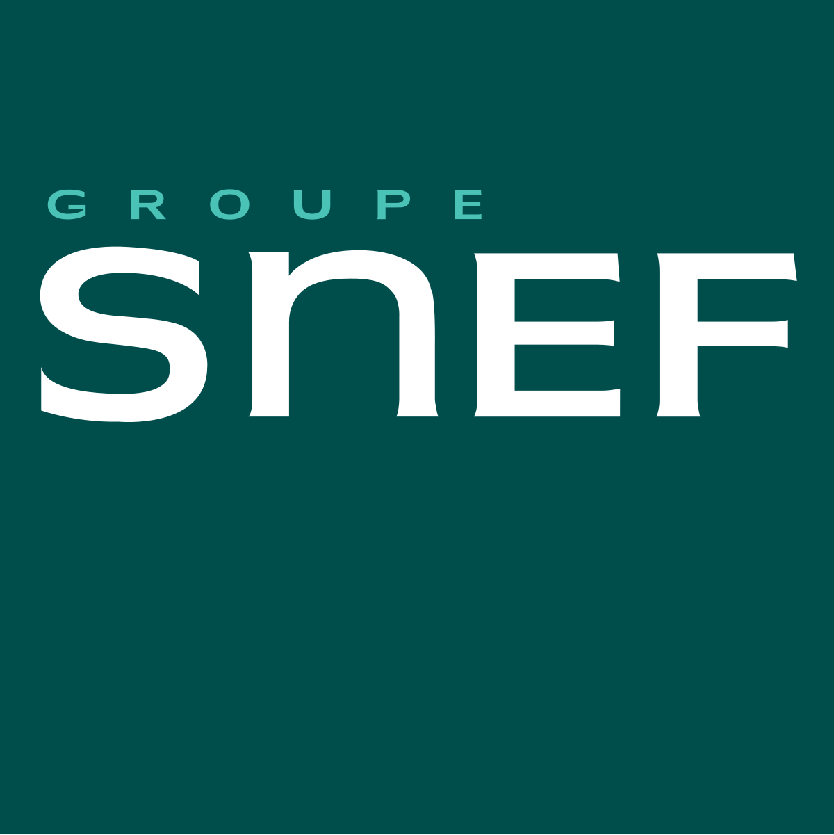 Logo SNEF